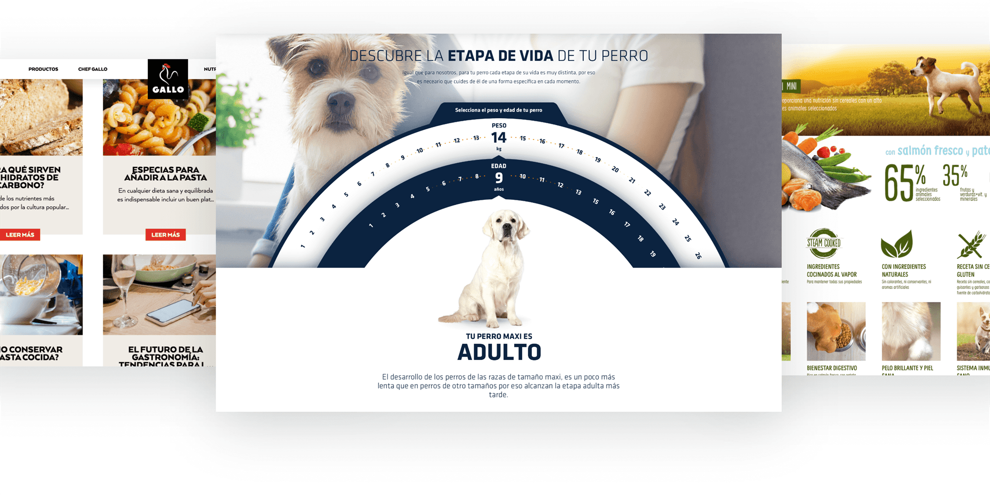 servicio_contenido_desktop@2x