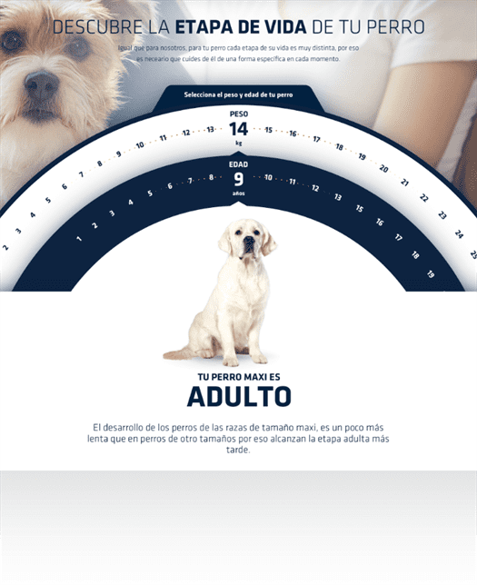 servicio_contenido_mobile@2x