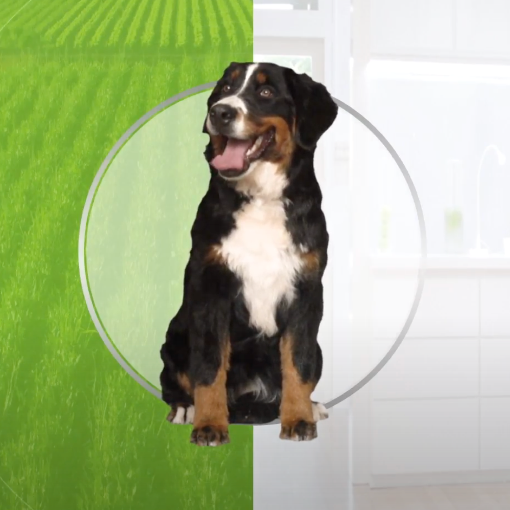 naturaltrainer_1_mobile