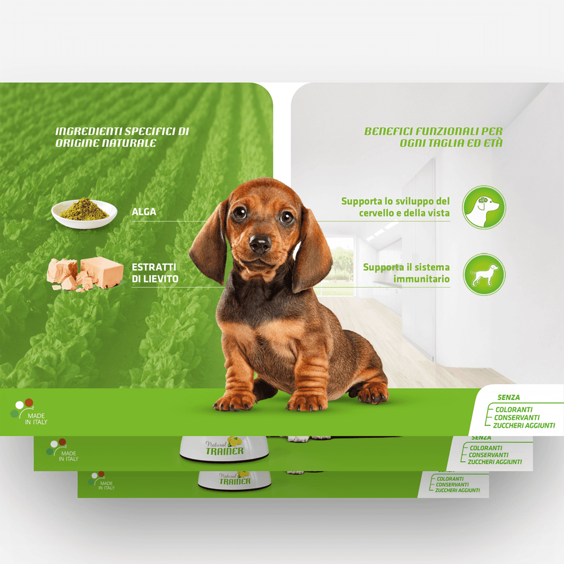 naturaltrainer_2_mobile