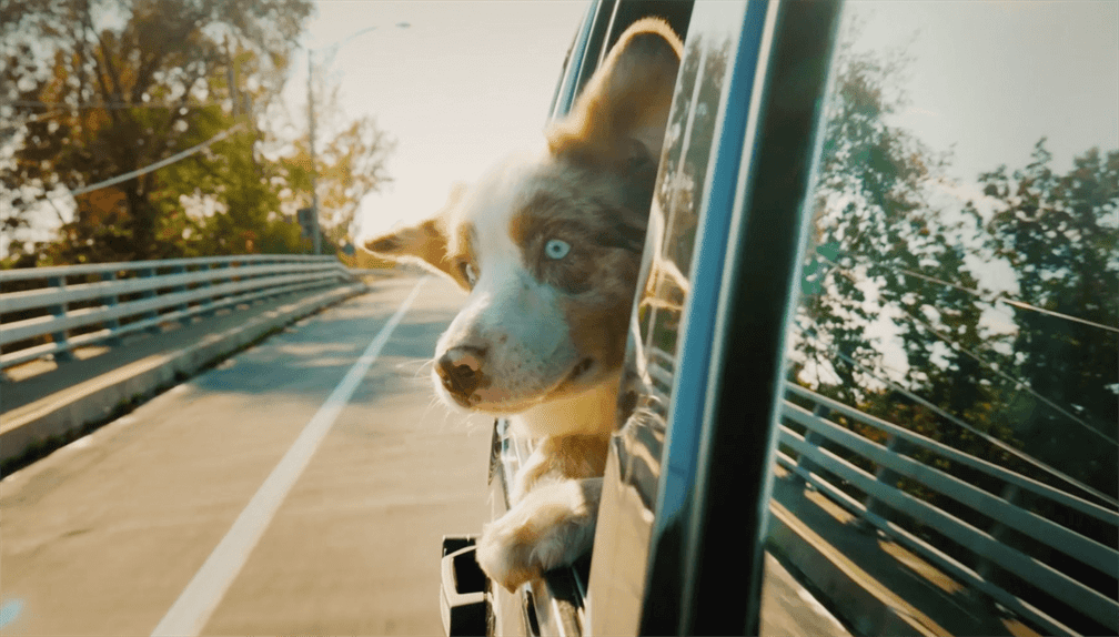 trueinstinct_0_mobile