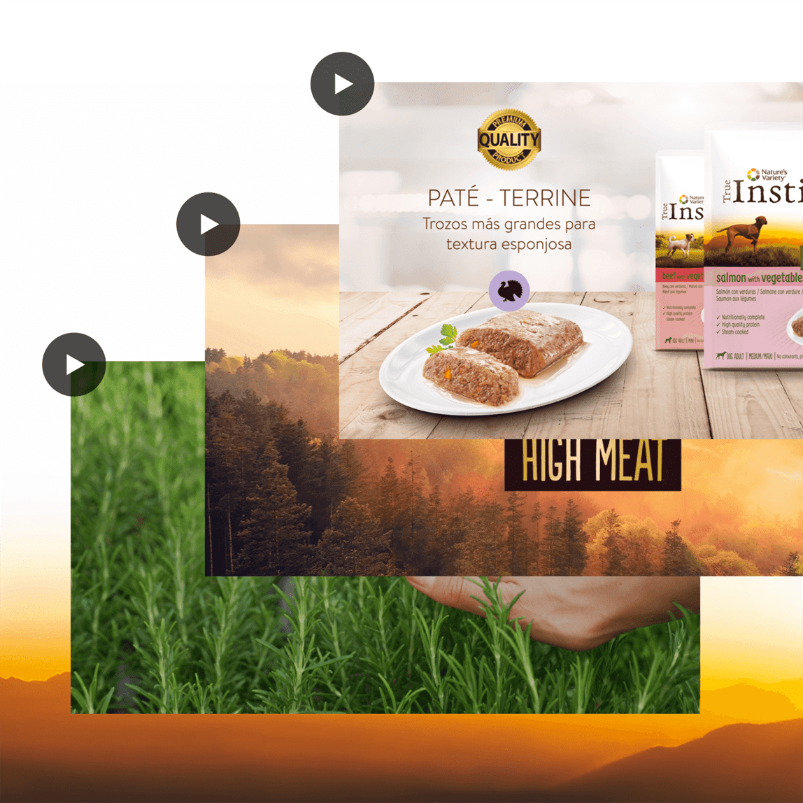 trueinstinct_3_mobile